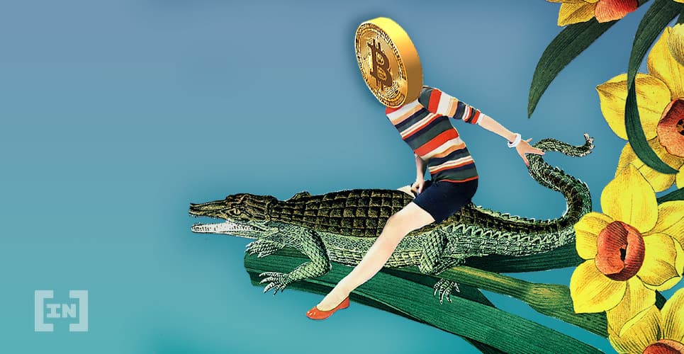 La dominación de Bitcoin podría alcanzar máximos inesperados, según analista