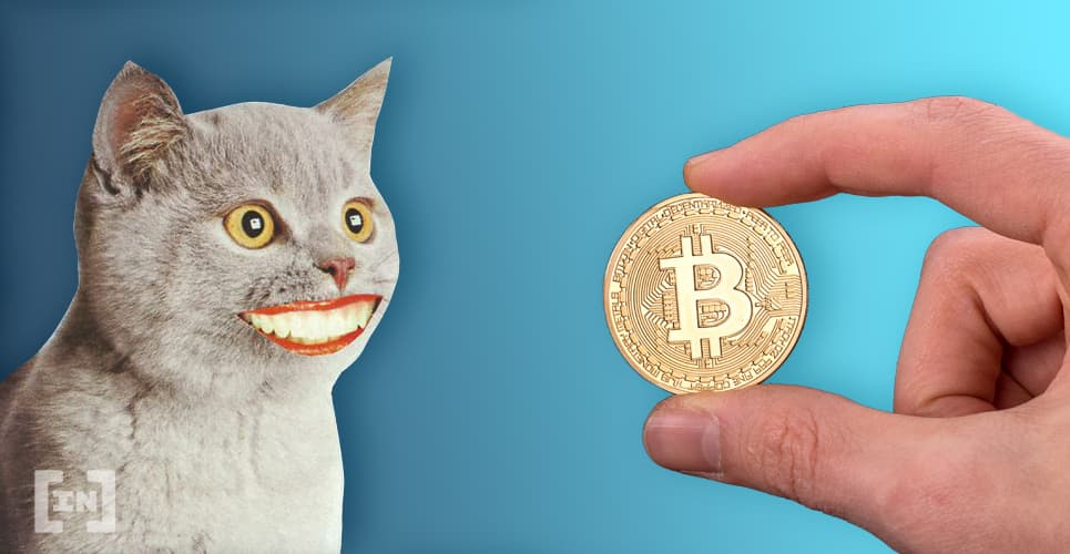 Análisis de Precio Bitcoin: BTC/USD Rebota Sobre $11.000