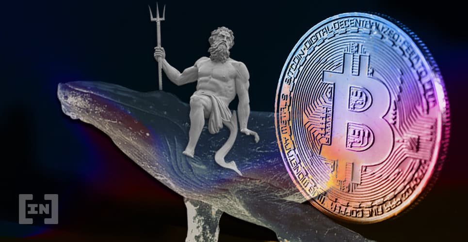 Ballenas invierten 2,370 millones de USDT para aprovechar la caída de Bitcoin