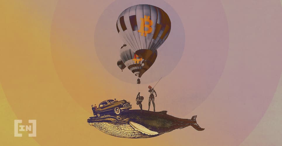 Solo el 2% de las Direcciones de Bitcoin Controlarían el 80% de Su Riqueza
