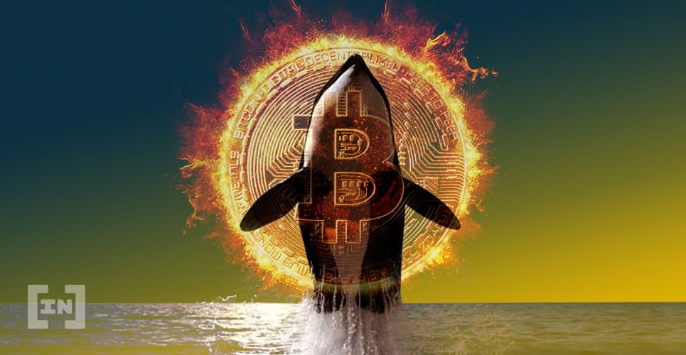 Más de $66 millones de Bitcoin han sido retirados de varios exchanges
