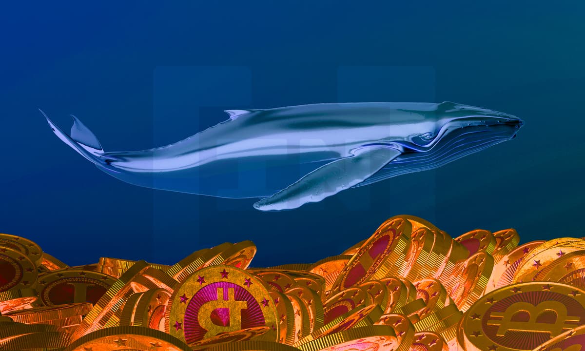 El auge de la inversión institucional en Bitcoin en 2020 y el futuro para 2021