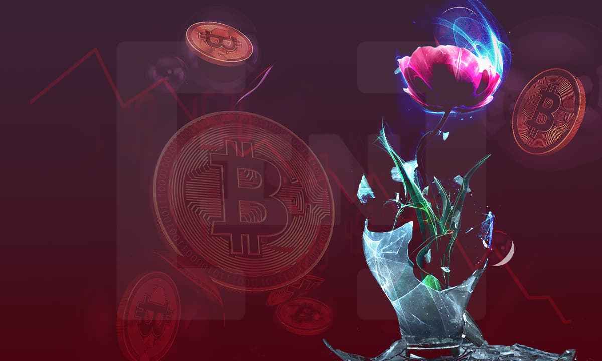 &#8220;Las criptomonedas no son dinero, son pura especulación&#8221; creando una &#8220;generación burbuja&#8221;, según BCE