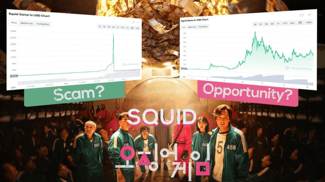 Squid Coin: ¿Fin del scam o auge de una nueva comunidad?