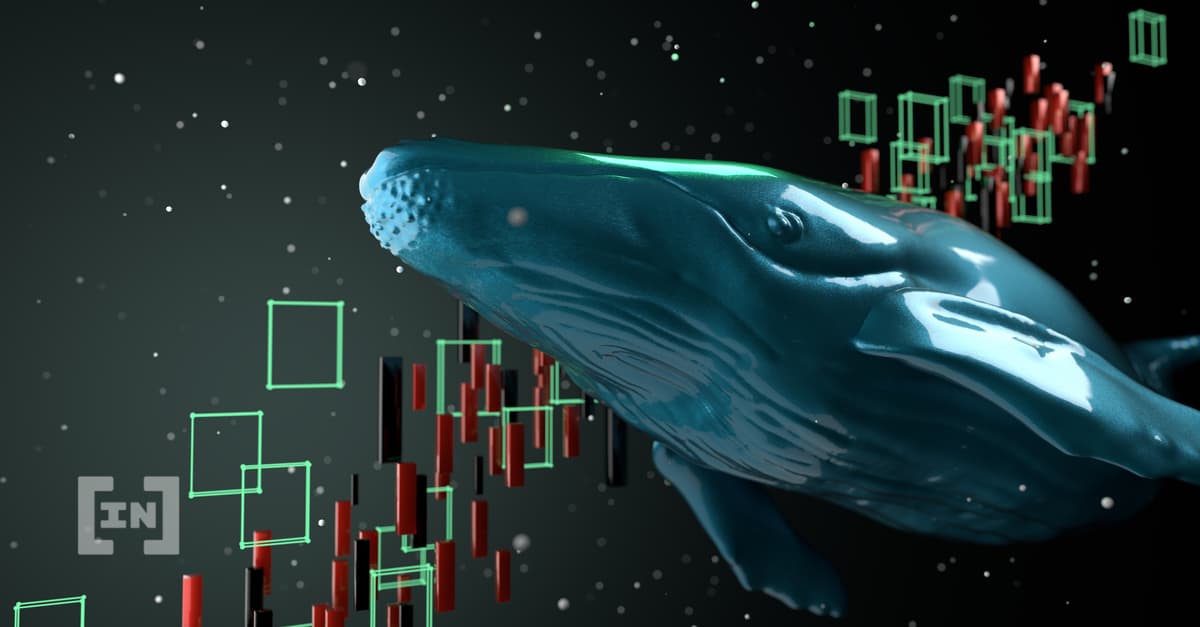 Ballenas Ethereum compraron 643 mil millones de tokens Shiba Inu (SHIB) durante el fin de semana
