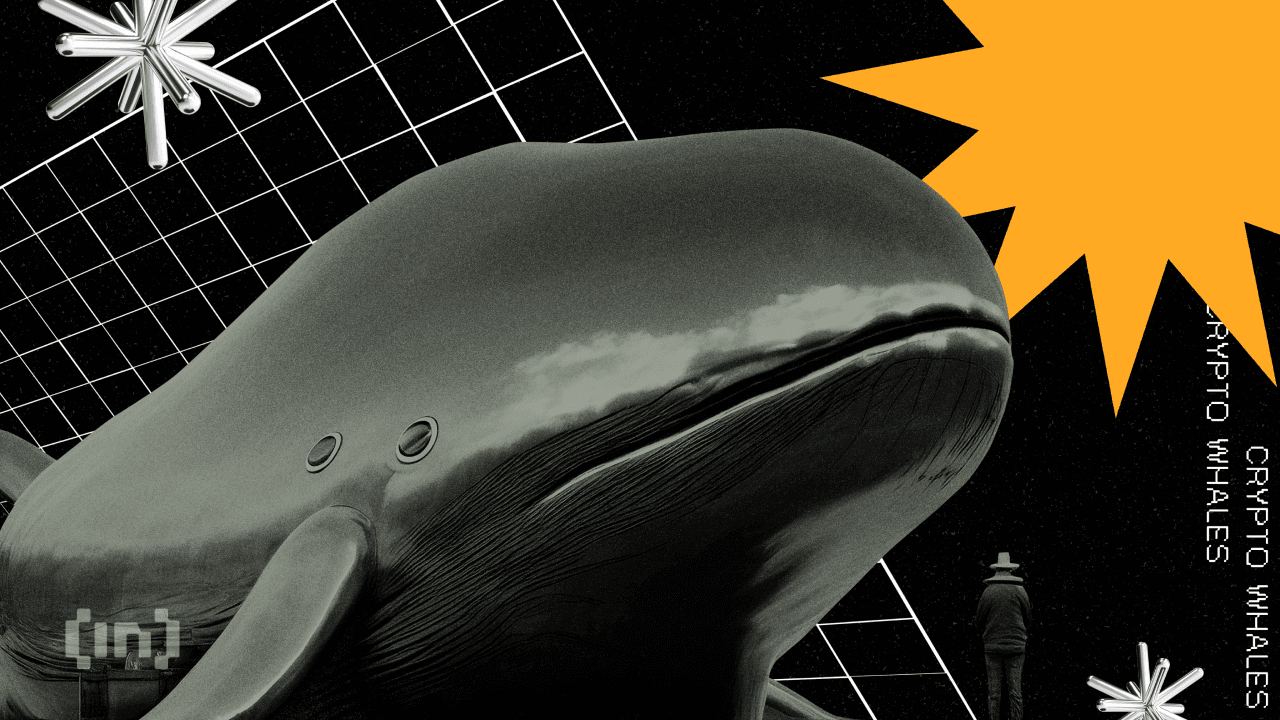 Así es como las ballenas causan grandes oscilaciones en el precio de Bitcoin