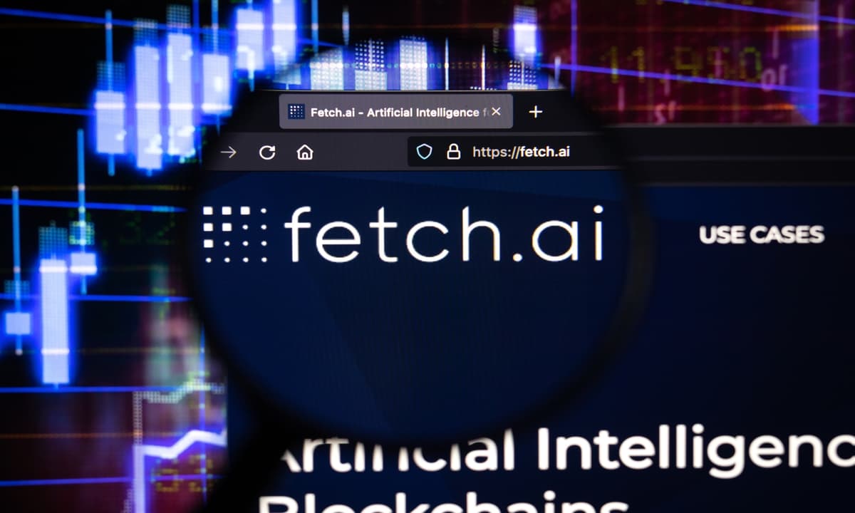 A pesar de la caída del Bitcoin, Toncoin, Fetch.ai y Borroe.Finance prosperan