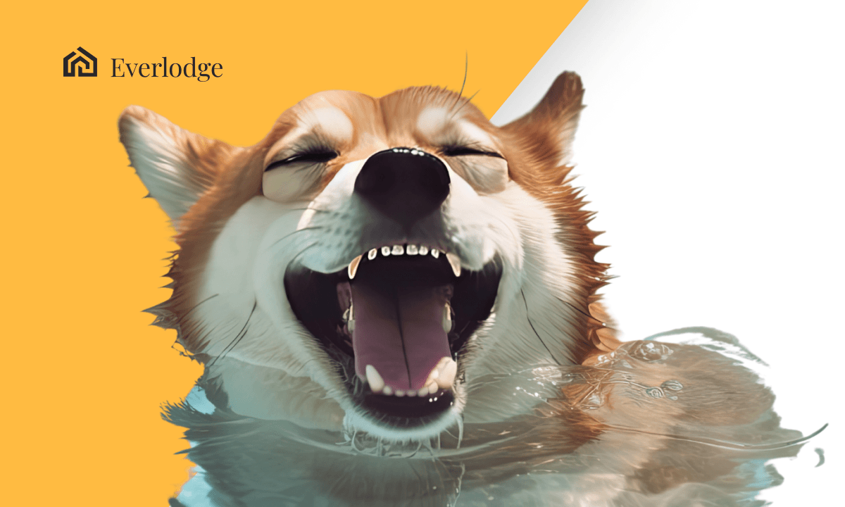 Ethereum y Everlodge están ganando la atención de los inversores, mientras Shiba Inu anuncia próximos desarrollos