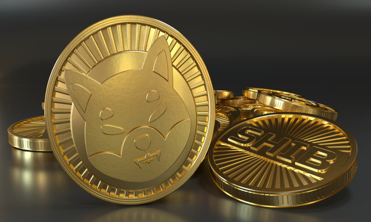 Alternativa a Shiba Inu recauda $700,000 en preventa: ¿Cómo se compara su rendimiento con Dogecoin en 2023?