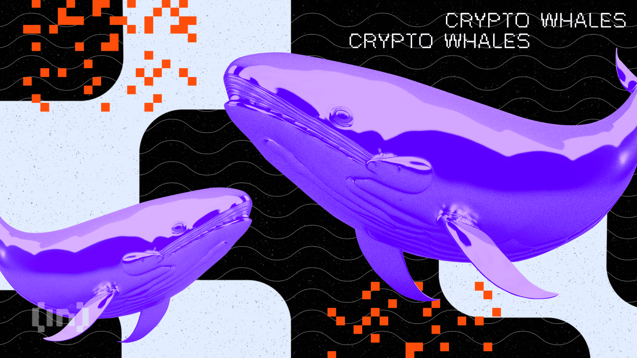 Ballena de la ICO de Ethereum despierta después de casi 9 años y mueve 2,000 ETH