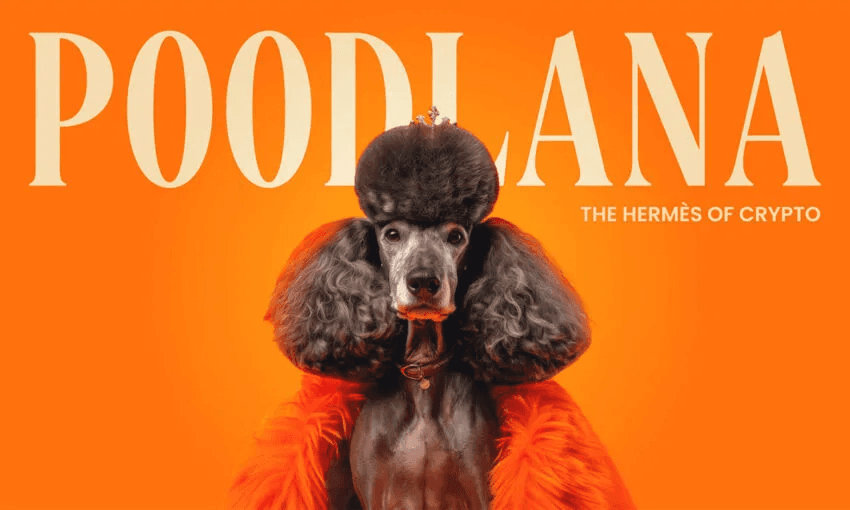 Faltan menos de 24 horas para su listado: cierra la preventa de Poodlana con $7,1 millones recaudados