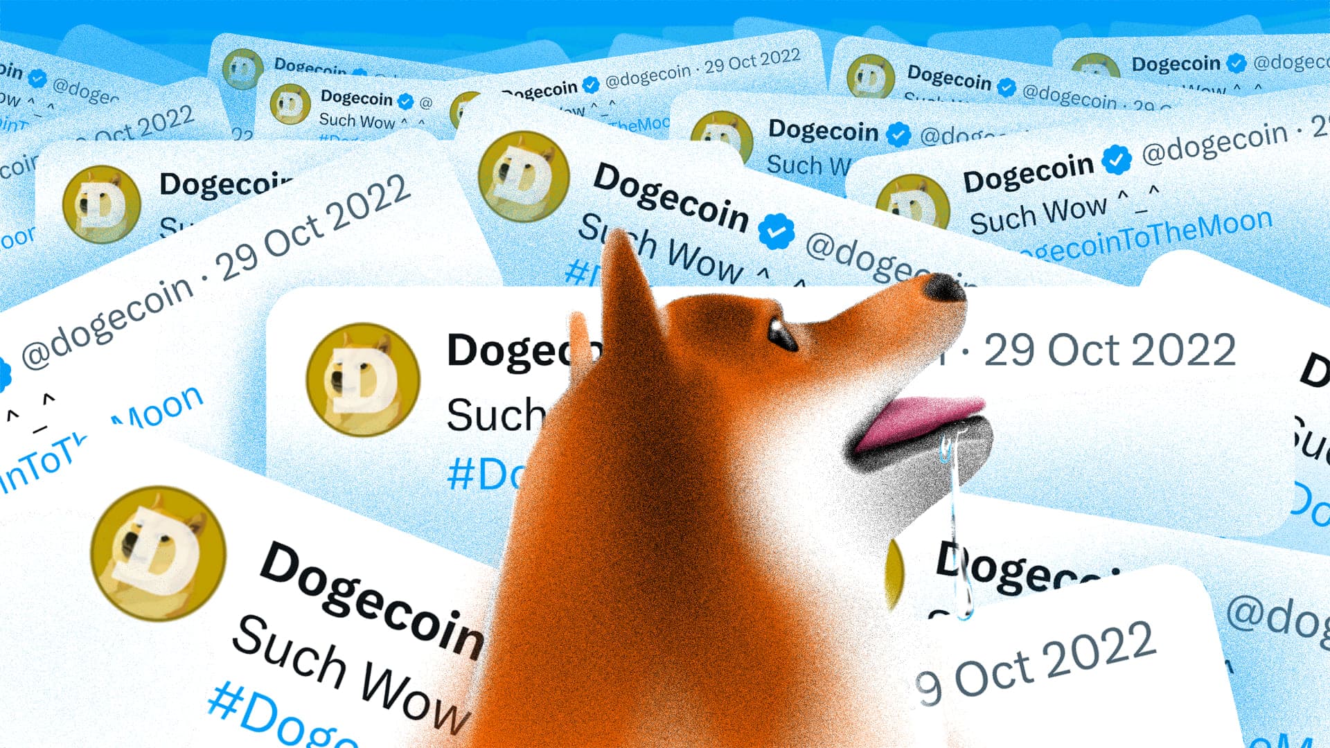 ¿FOMO de Dogecoin en camino? Catalizadores para observar de cerca en agosto