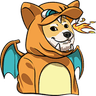 Charizard Inu