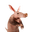 Aardvark [OLD]