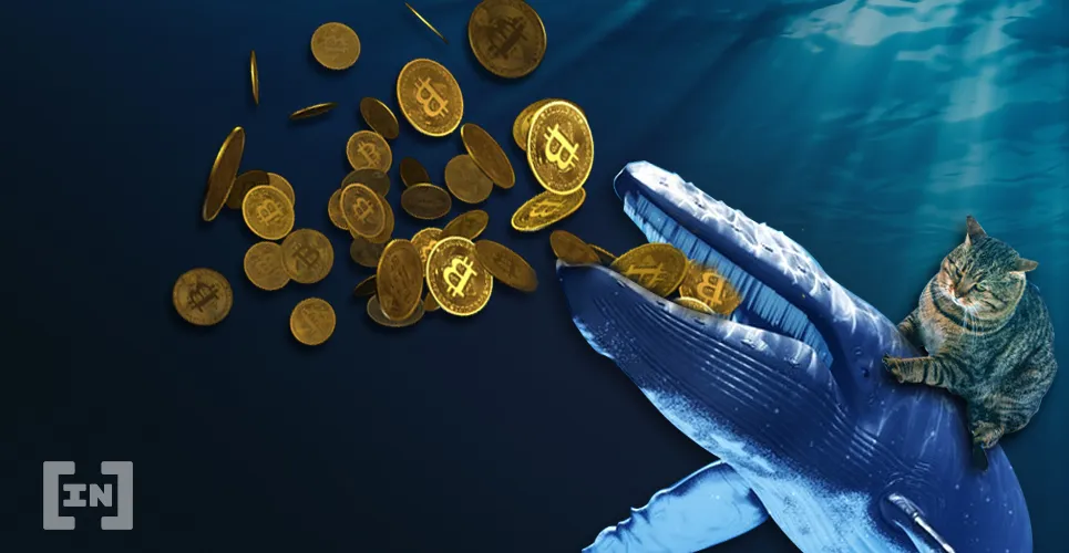 La caída de precios de Bitcoin supuestamente causada por ballenas de Binance
