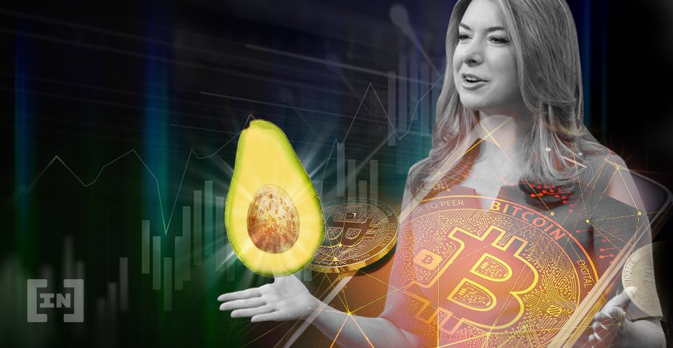 Bitcoin está siguiendo el precio de los aguacates, otra vez