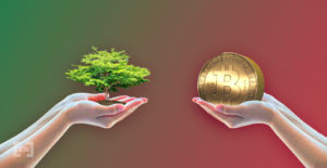 Madera y Bitcoin