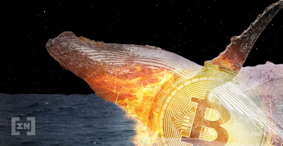 Una ballena de Bitcoin advierte sobre el mercado inflado