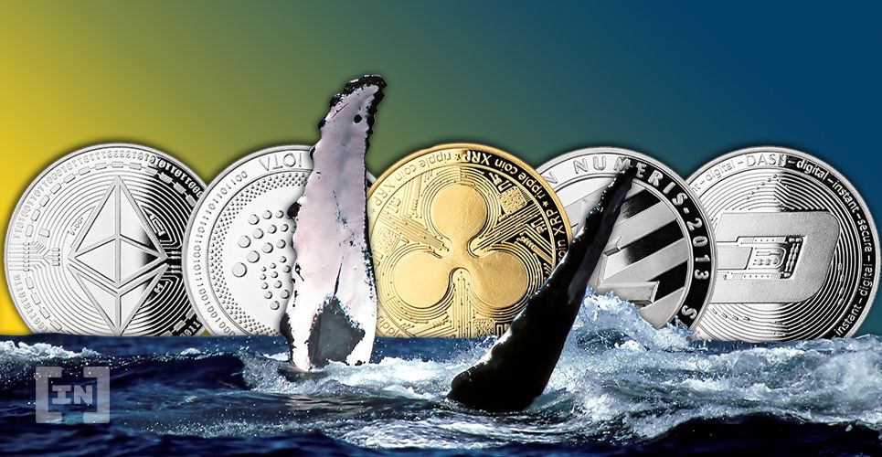 Aquí la cantidad de las principales altcoins que es propiedad de las ballenas