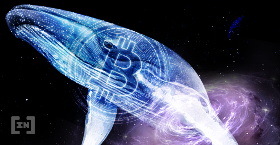 Bitcoin hold