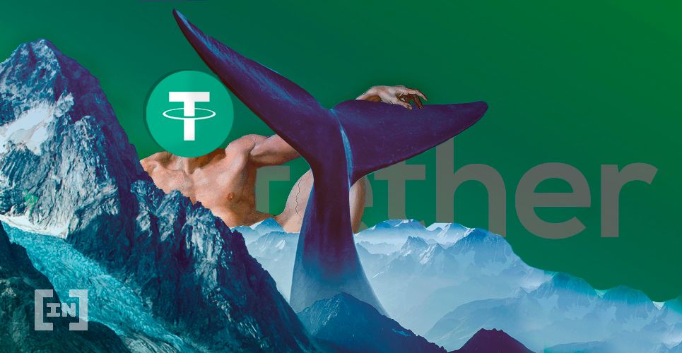 Ballena envía $10M USDT a plataforma de cambio para aprovechar las caídas y comprar