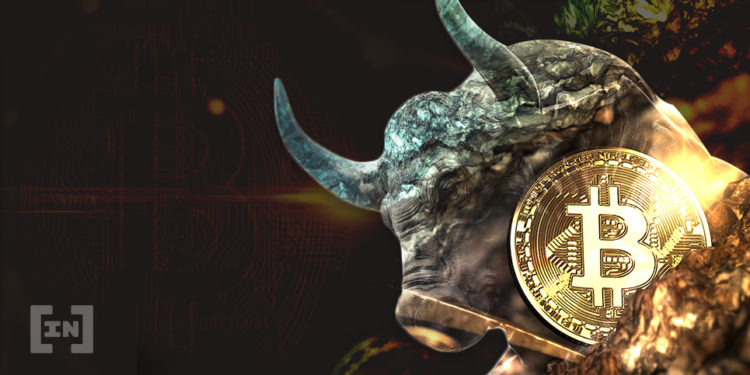 Bitcoin bull btc