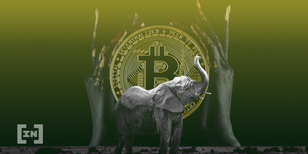 Africa BTC
