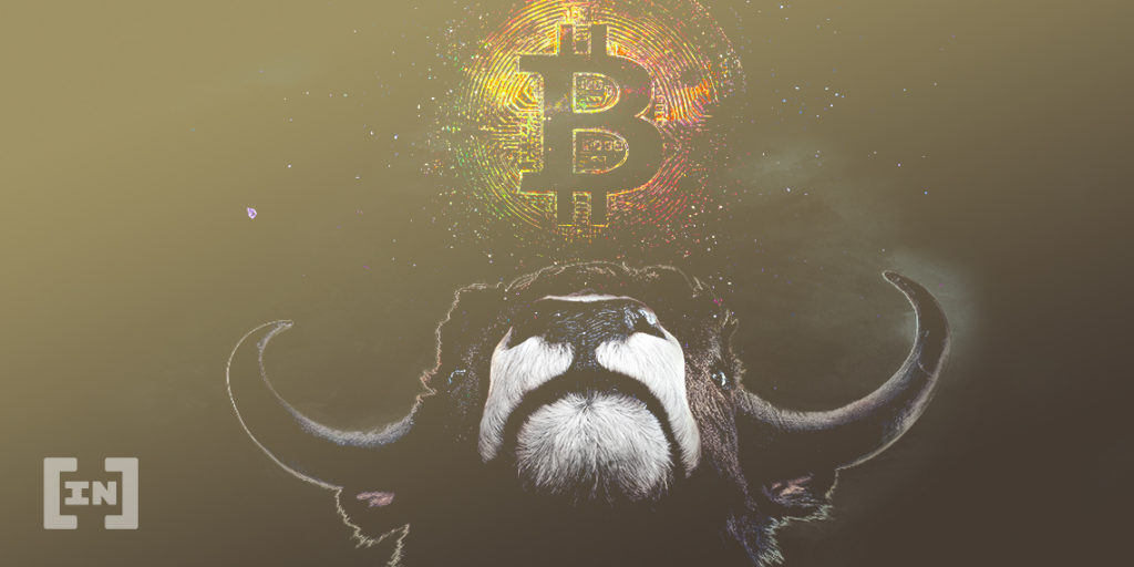 Bitcoin alcista bull