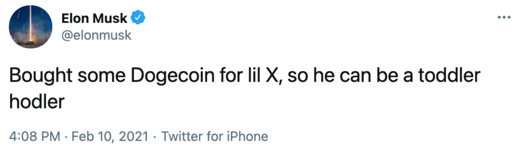 Elon Dogecoin