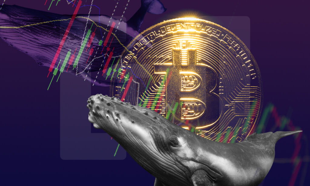 Análsisi ballena BTC