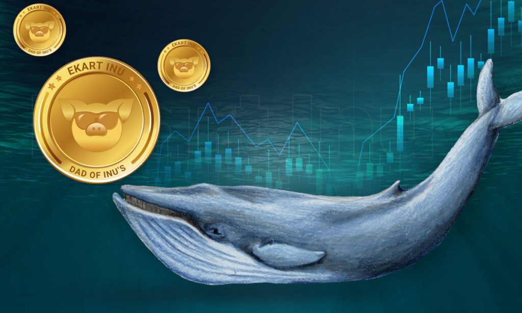 Ballenas de criptomonedas compran cantidades masivas de tokens EKARTINU