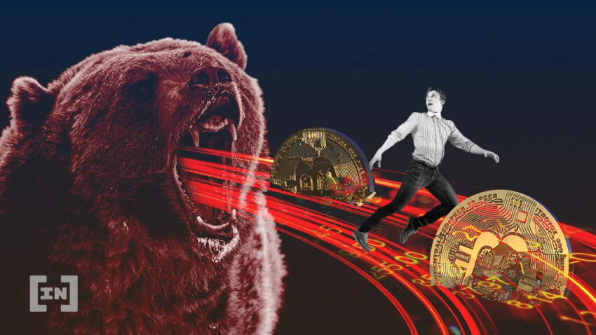Bear bitcoin