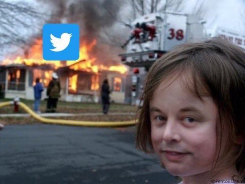 Twitter Meme Musk