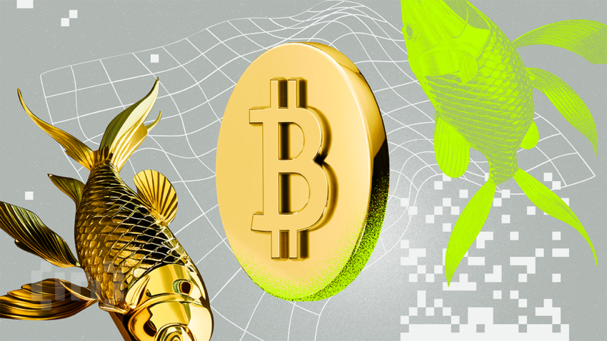 Bitcoin vs. Oro: ¿Y si la estrategia de MicroStrategy se hubiese centrado en el metal dorado?