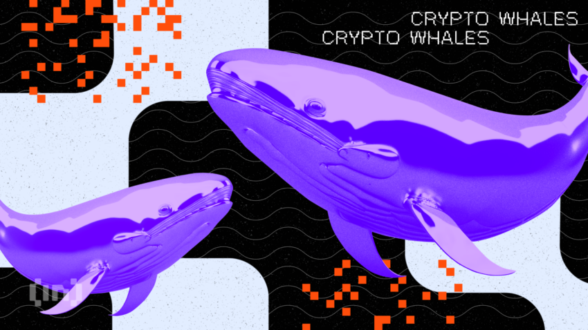 ¿Cuáles criptomonedas están comprando las ballenas para el mes de octubre de 2023?