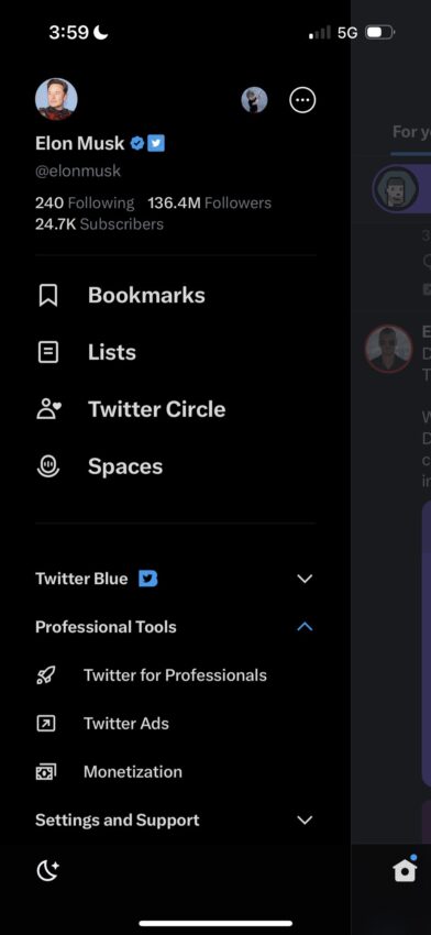 Captura de pantalla donde Elon Musk revela por accidente su otra cuenta de Twitter @ErmnMusk.