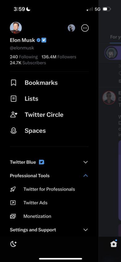 Captura de pantalla donde Elon Musk revela por accidente su otra cuenta de Twitter @ErmnMusk.