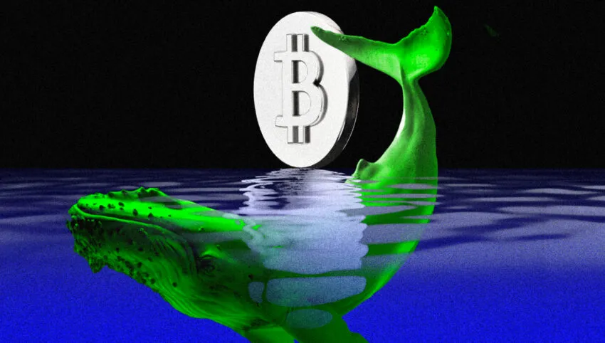 Ballena Bitcoin desconocida acumula casi 15,000 BTC desde principios de 2023