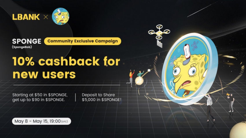 comprar SPONGE