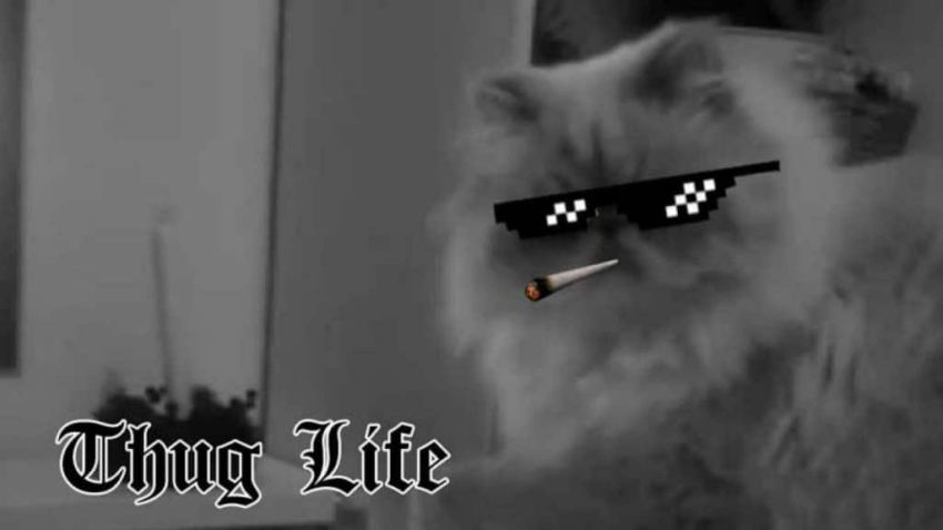 Thug Life ($THUG)