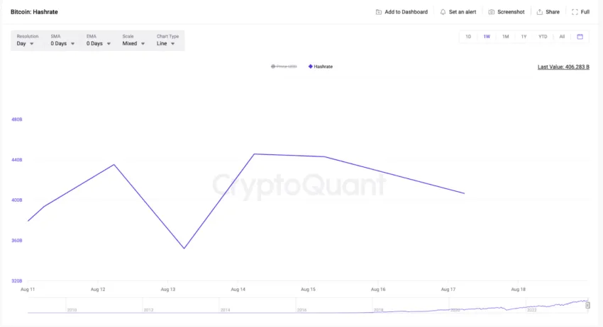 El hashrate de Bitcoin.