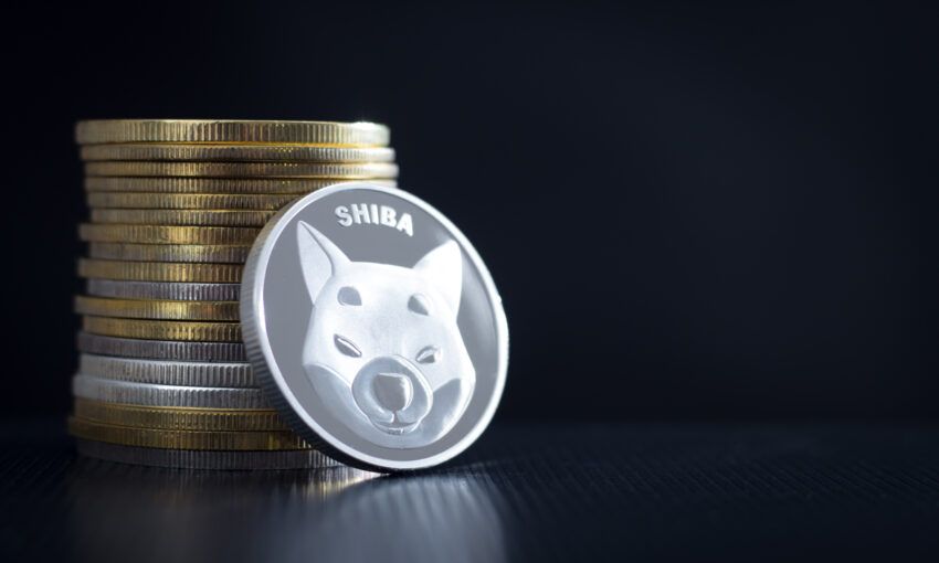 El token Calcium explota un 7,400% gracias a Shiba Inu, mientras QUBE supera la marca de los $3,25 millones