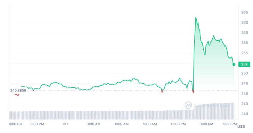 El precio de BNB se disparó tras saberse la noticia y su lucha judicial en Estados Unidos (EEUU).