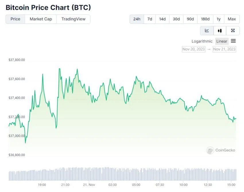 Bitcoin ha mantenido un precio alcista en los últimos días.
