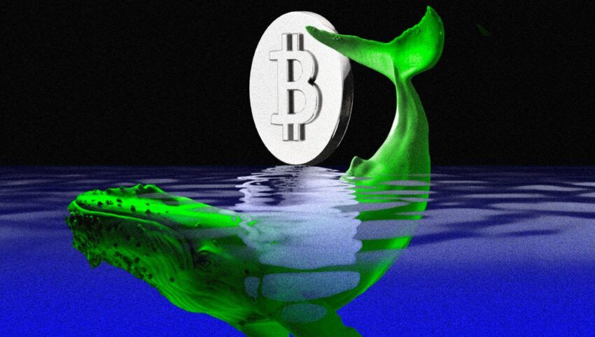 Bitcoin cae por debajo de $39,000 mientras las ballenas se repliegan y venden $3 mil millones en BTC: ¿Qué esperar?