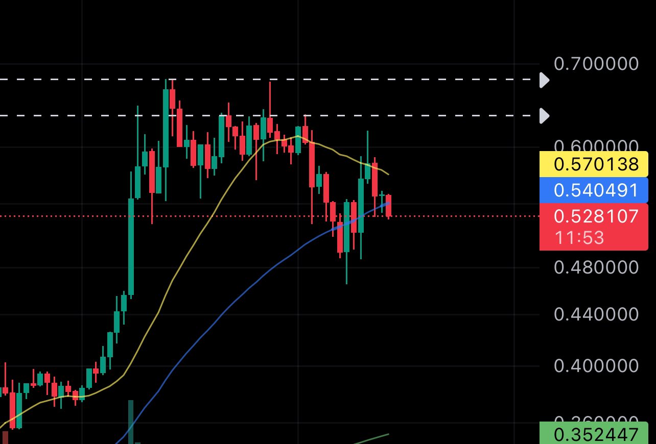 Cardano precio