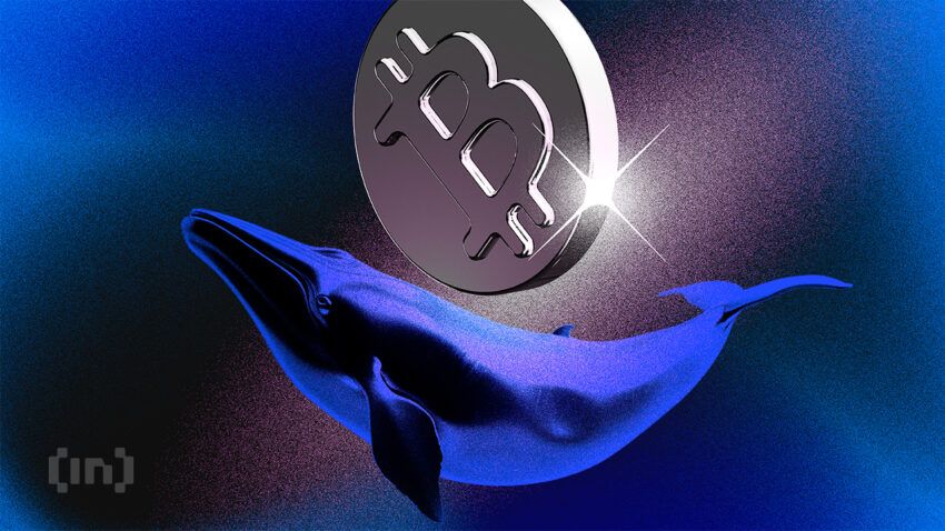 Ballena Bitcoin despierta tras una larga hibernación de 10 años y mueve más de $16 millones en BTC