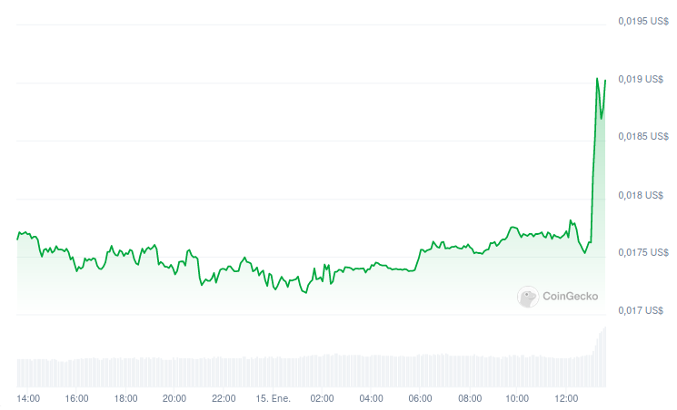 Precio de Flare Network (FLR) - 24 horas. Fuente: CoinGecko