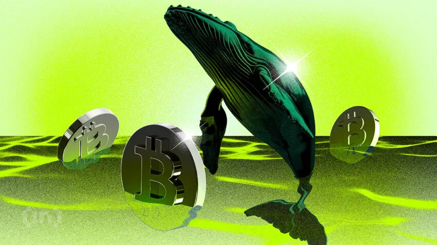 Las mayores ballenas de Bitcoin en 2024