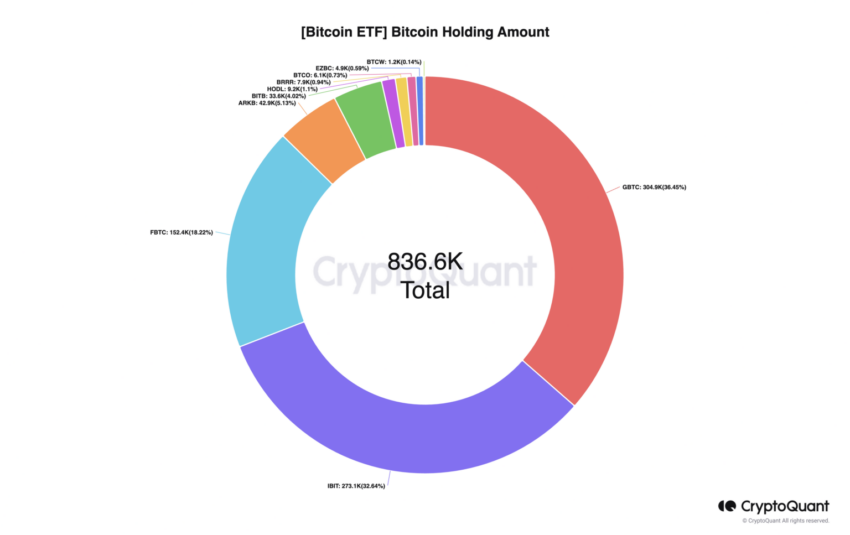 Monto de tenencia del ETF de Bitcoin.